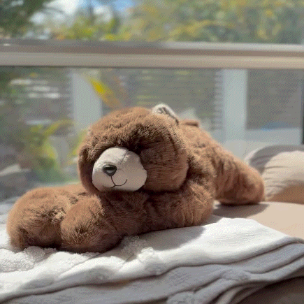 CuddleWeight™ | Calming Weighted Plush Companion